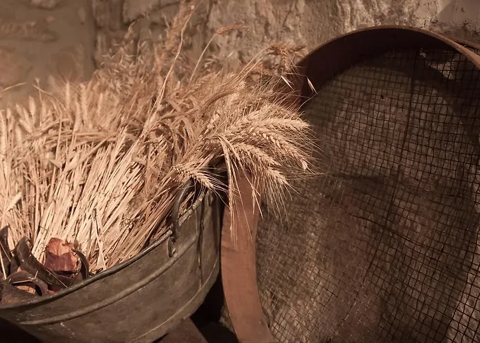 Country house Casa Rural La Molinera Etxea Samaniego