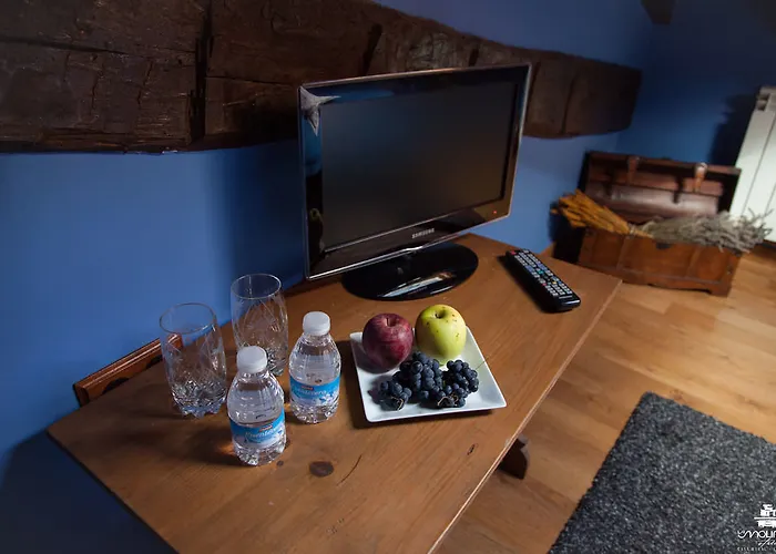 乡村民宿 La Molinera Etxea 萨马涅戈